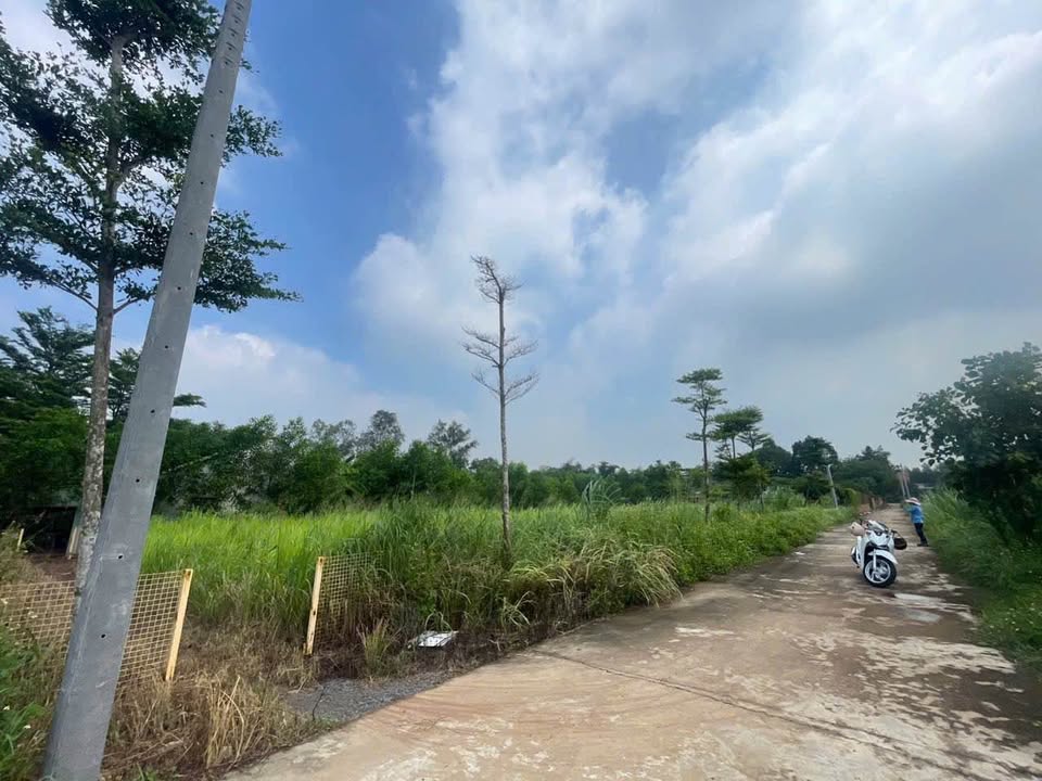 Đất nền Giang Điền, Trảng Bom 1150m² giá 8.5 tỷ - Pháp lý rõ ràng, sổ hồng riêng!
