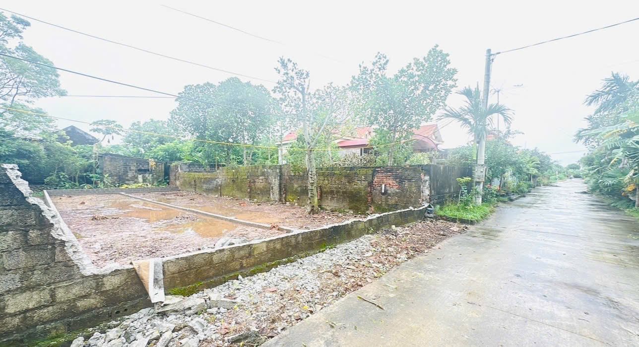 Đất thổ cư Phù Cừ 65m² chỉ 9xx triệu - Mặt đường trục chính chuẩn bị mở rộng!