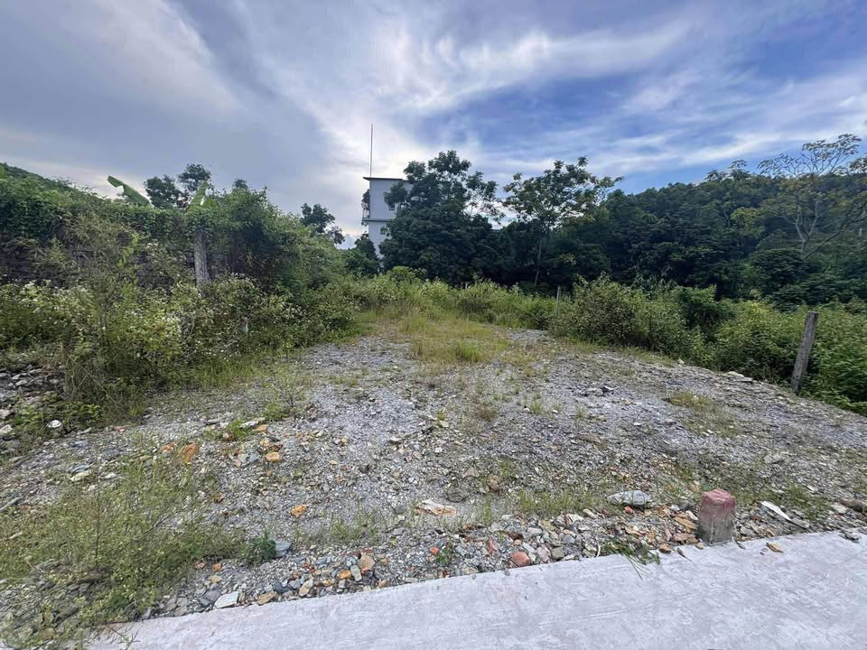 Đất nền Thủy Dương 126m² giá 1.75 tỷ - Sổ hồng chính chủ, đầu tư sinh lời!