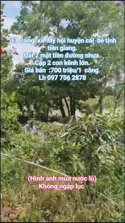 Đất vườn sầu riêng 13.000m² tại Xã Mỹ Hội, Huyện Cái Bè - Cơ hội đầu tư sinh lời!