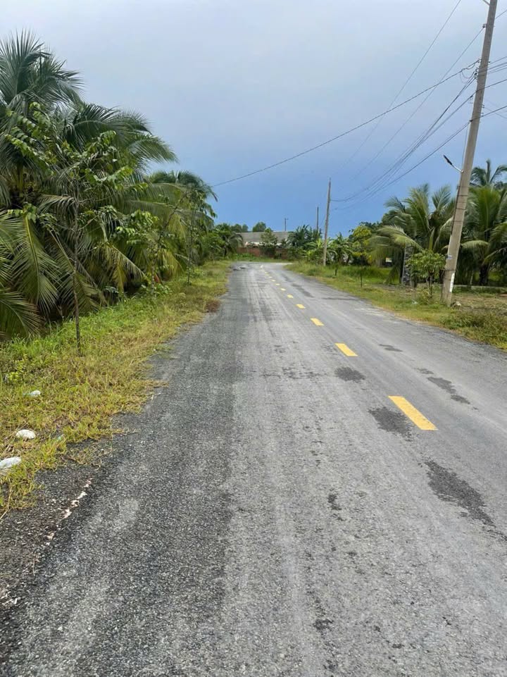 Đất nền Hòa Khánh Đông, Đức Hòa 175m² giá 1.379 tỷ - Cơ hội đầu tư tuyệt vời!