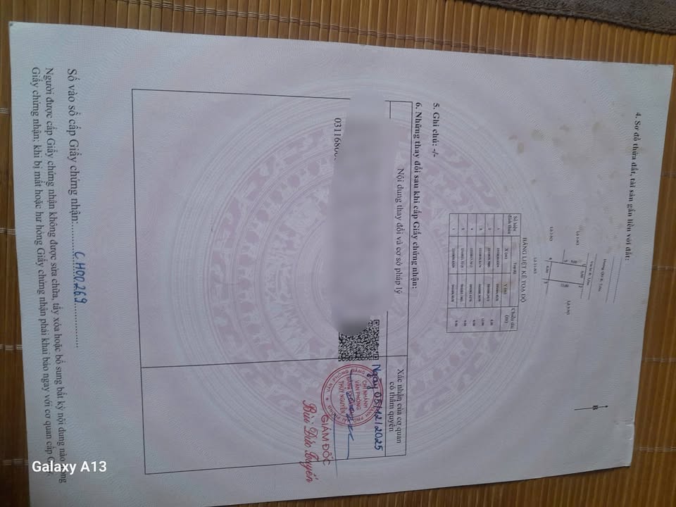 Đất đấu giá Bái Ngoài Hoa Động 78m² giá 4.55 tỷ - Sổ hồng chính chủ!