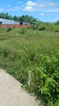 Đất nền xã Phước Thuận Xuyên Mộc 216m² giá 1.3 tỷ - Cơ hội đầu tư lý tưởng!