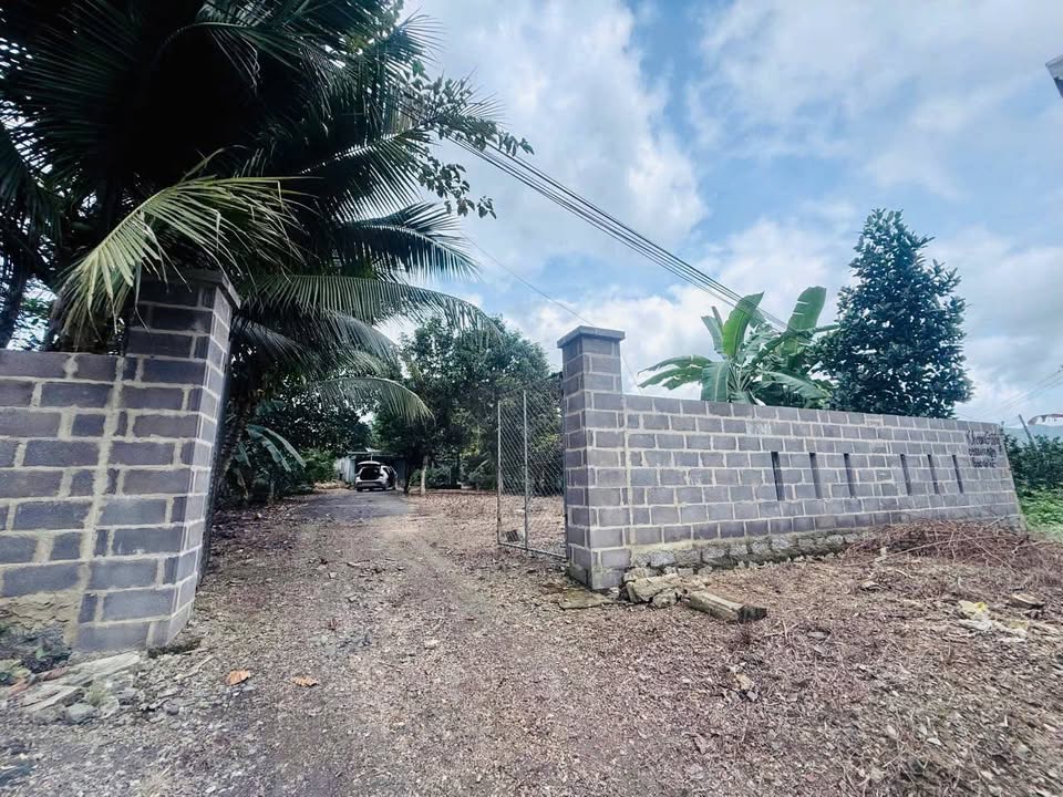 Nhà vườn Diên Xuân 1.938m² giá 6 tỷ - Mặt tiền Tỉnh Lộ 8 vị trí đắc địa!