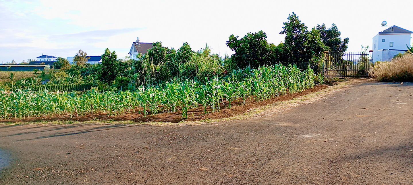 Đất thổ cư 280m² tại TP Bảo Lộc - Giá chỉ 2.2 tỷ - Sẵn sàng đầu tư!