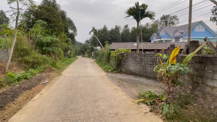 Đất nghỉ dưỡng 5.000m² tại Nga Hoàng, Yên Lập - Giá chỉ 1 tỷ!