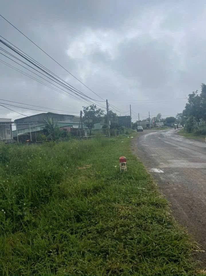 Đất mặt tiền Quốc lộ 28 Đắk Nia 800m² giá 280 triệu - Kinh doanh sầm uất!