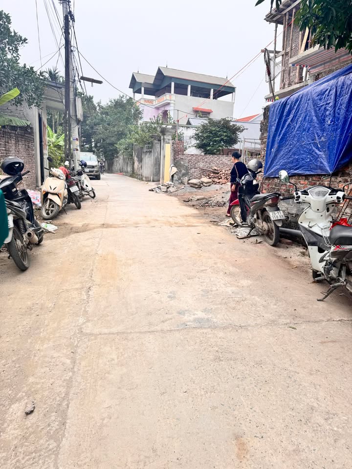 Đất nền Phù Lưu Tế 99.9m² giá 2.5 tỷ - Thiết kế tự do, gần trường và chợ