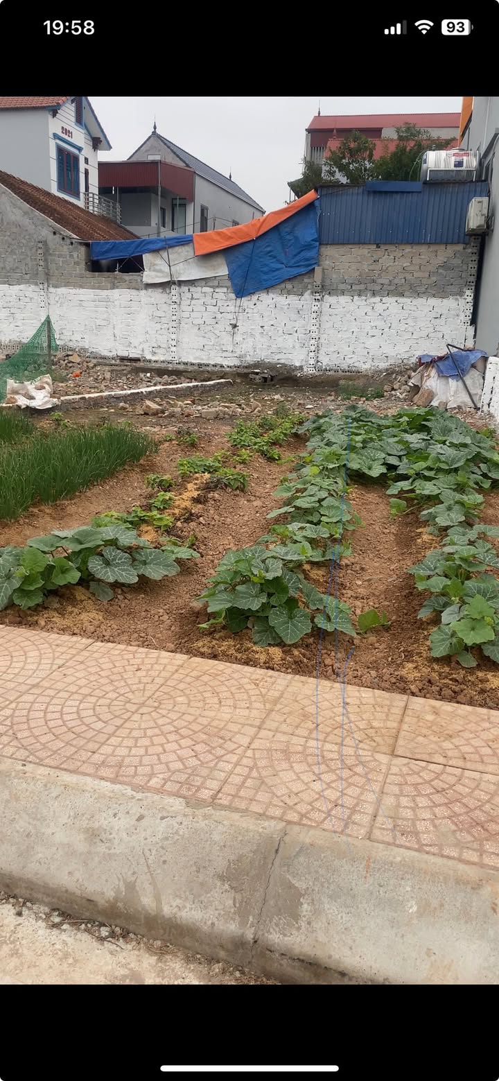 Đất thổ cư 83,9m² xã Hợp Tiến, huyện Mỹ Đức - Đầu tư sinh lời lý tưởng!