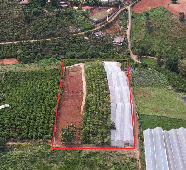 Đất nền 3 mặt tiền Tà Nung, Đà Lạt 7063m² giá 18.5 tỷ - Cơ hội đầu tư sinh lời!