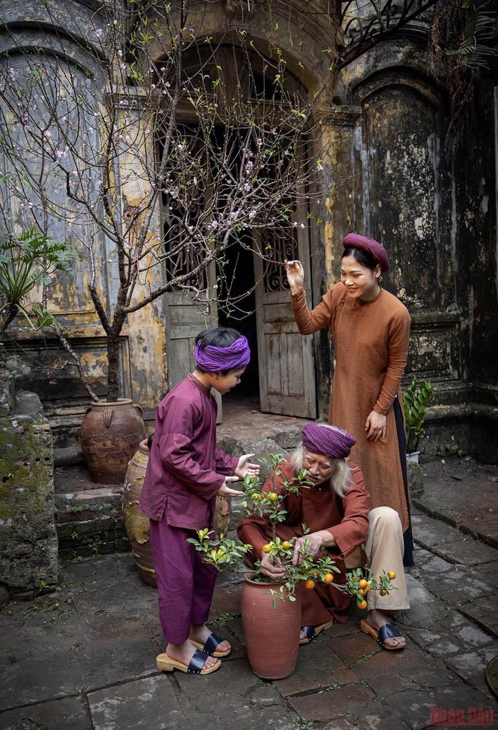 Căn hộ Tân Tây Đô Đan Phượng 54m² giá 3.3 tỷ - Sổ đỏ chính chủ ngay hôm nay!