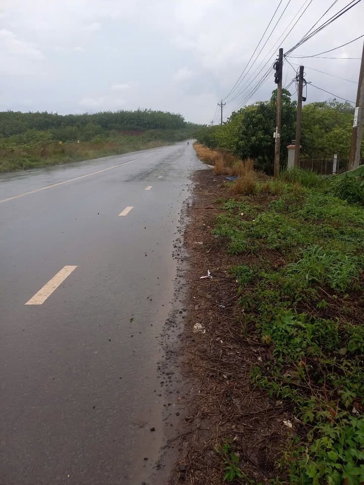 Đất nền mặt tiền đường 753B Phú Riềng 1620m² - Đầu tư sinh lời ngay!