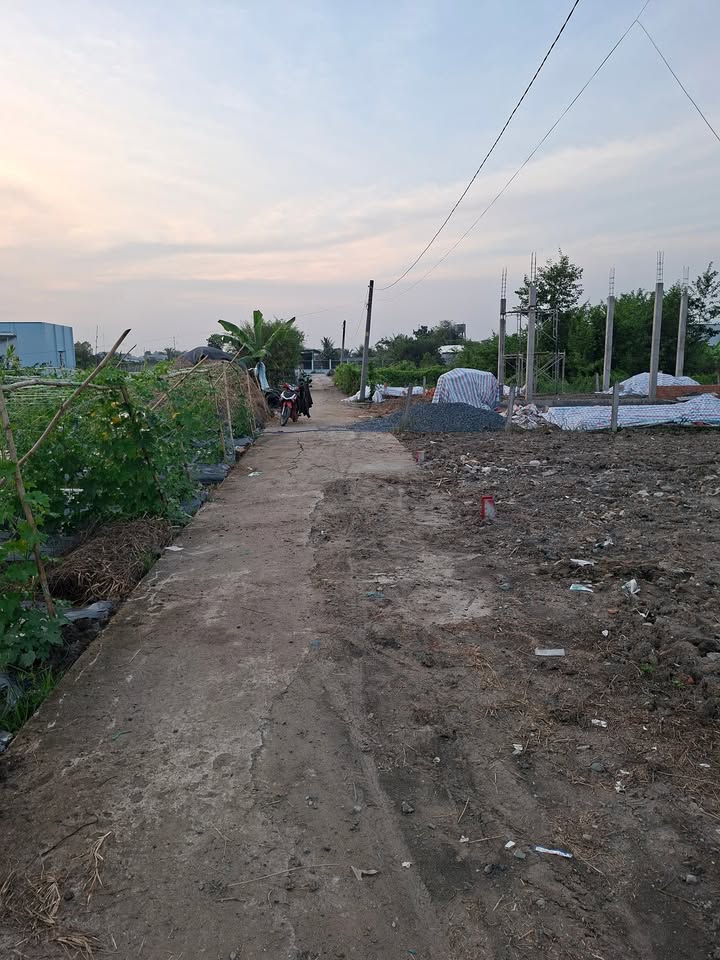 Đất thổ cư 101m² tại Ấp Lộc Hậu, Cần Giuộc - Giá 850 triệu, chính chủ!