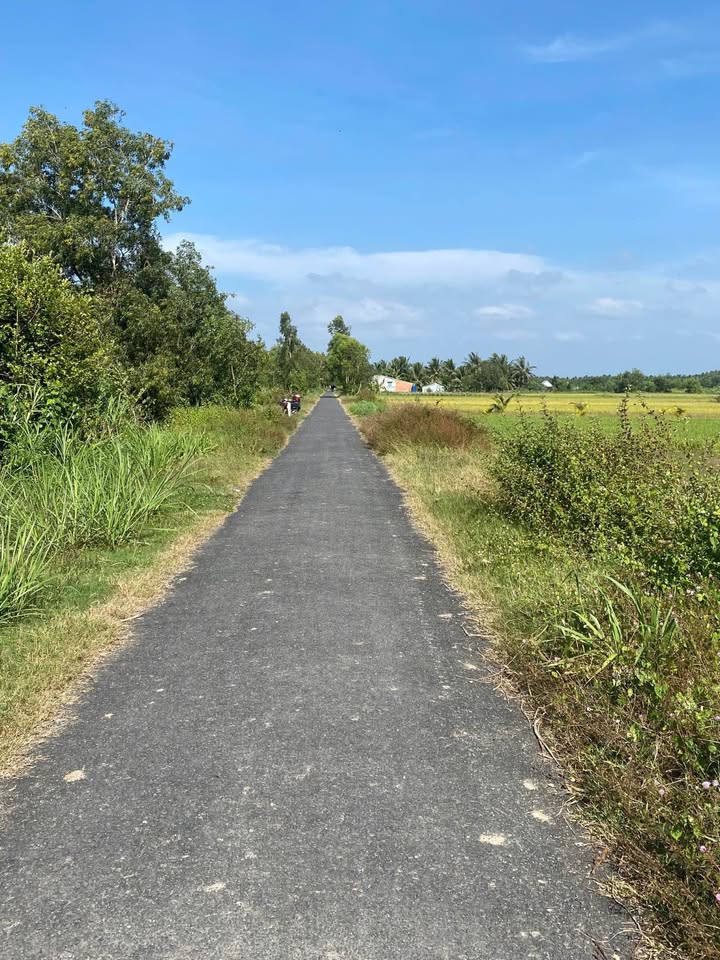 Đất nền Hòa Lợi, Châu Thành 520m² giá 435 triệu - View kênh mát mẻ!