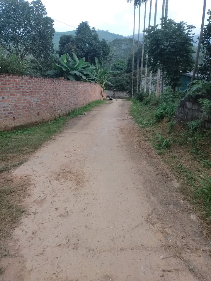 Đất thổ cư Thịnh Minh Hòa Bình 500m² giá 750 triệu - Sổ đỏ chính chủ