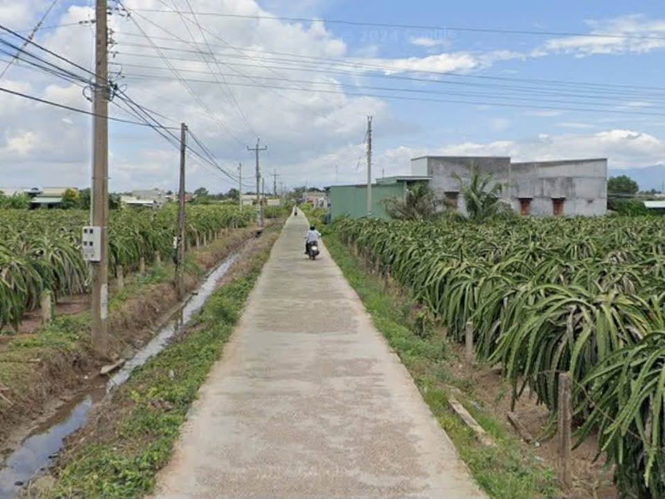 Đất thổ cư liền kề đường Betong ô tô, Phú Long 256m² giá 820 triệu - Cơ hội đầu tư hấp dẫn!