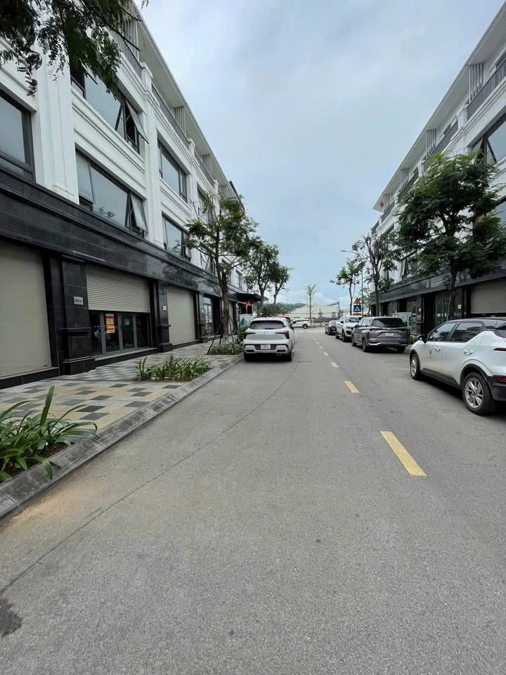Shophouse Apec Diamond Park Lạng Sơn 78.75m² giá chỉ 3 tỷ - Cơ hội đầu tư tuyệt vời!