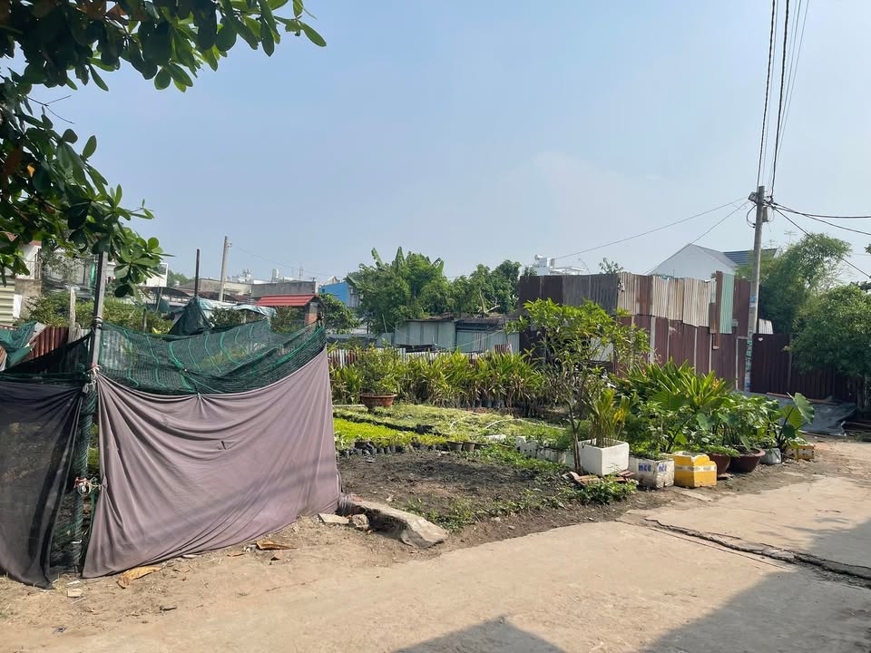 Đất nền hẻm 439 Tân Thới Hiệp 40m² giá 1 tỷ - Sổ đỏ chính chủ, ô tô vào tận nơi!