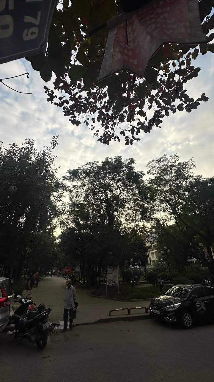 Nhà mặt phố Hoàng Cầu Đống Đa 42m² giá 17.2 tỷ - Ô tô vào tận nhà!