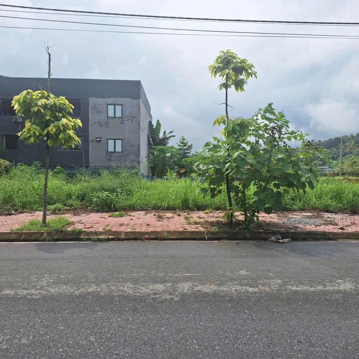 Đất nền TK 19 Minh Đức, Lào Cai 87m² giá 1.2 tỷ - Vị trí an toàn, không ngập lụt!