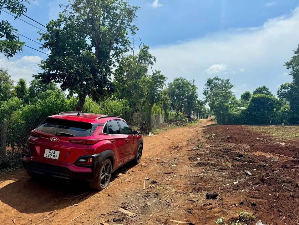 Đất thổ cư 175m² tại Krông Pắc - Giá chỉ 405 triệu - Cơ hội không thể bỏ qua!