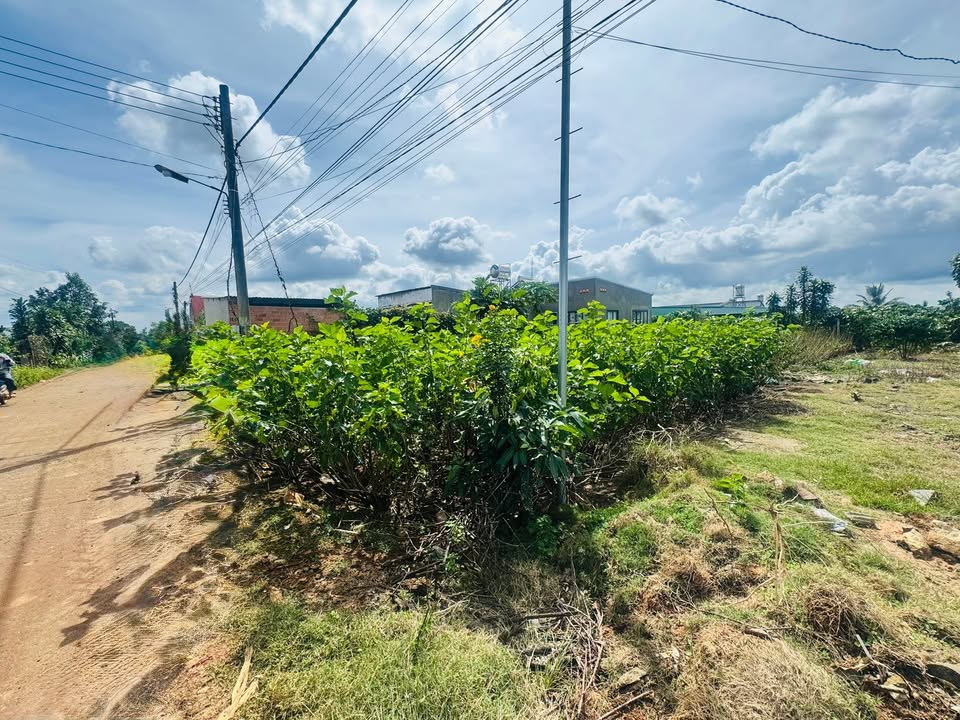 Đất nền Bảo Lộc 218m² giá 1.25 tỷ - Cắt lỗ nhanh chóng!