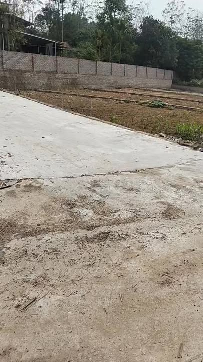 Đất thổ cư 300m² tại Tân Thành, Ba Vì - Đầu tư sinh lời ngay!