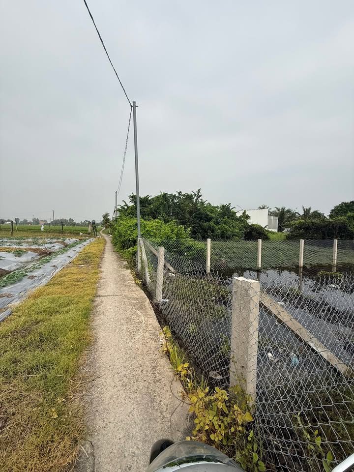 Đất thổ cư Mỹ Lộc, Cần Giuộc 124m² giá 780 triệu - Cơ hội đầu tư tốt!