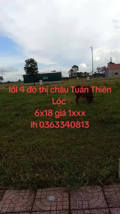 Đất nền Khu đô thị Châu Tuấn, Thiên Lộc, 108m² - Pháp lý rõ ràng, giá thỏa thuận!