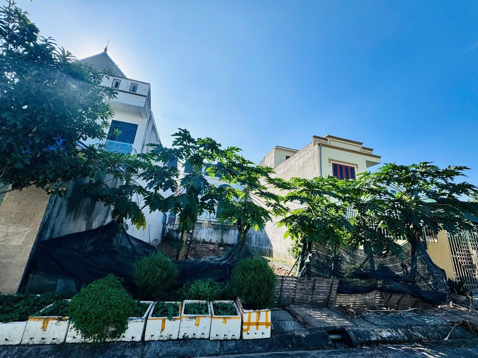 Đất nền chính chủ 117m² khu chung cư Lương Quán, An Dương - Giá chỉ 3 tỷ!