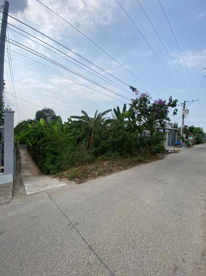 Đất nền thổ cư Chợ Mới An Giang 180m² giá 650 triệu - Đầu tư sinh lời ngay!