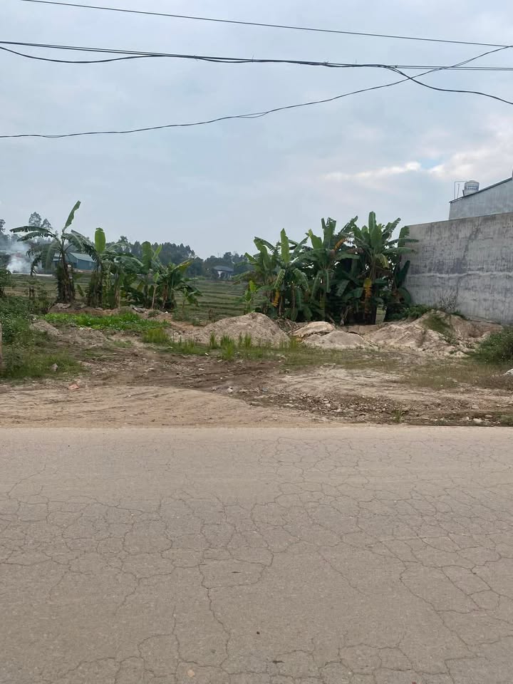 Đất nền kinh doanh tại Xuân Hòa, Lập Thạch 115m² - Hướng Đông, giá tốt chờ bạn!