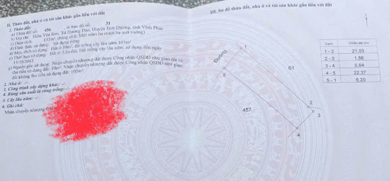 Đất nền Hướng Đạo, Tam Dương, Vĩnh Phúc 126m² giá 1.4 tỷ - Cơ hội đầu tư tuyệt vời!