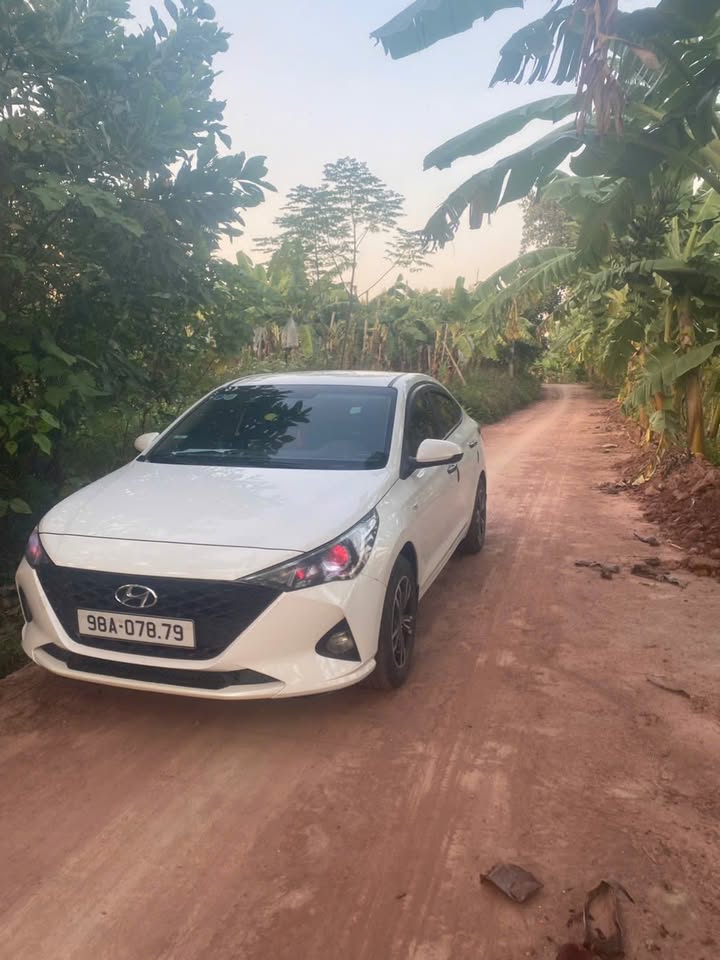 Đất Tân Thanh Lạng Giang 102m² giá chỉ 600 triệu - Đầu tư sinh lời ngay!