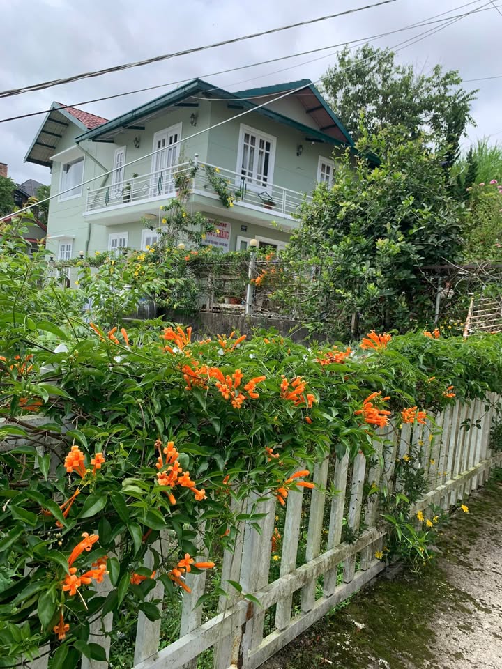 Phòng cho thuê Đà Lạt 30m² giá 2.5 triệu - View thung lũng tuyệt đẹp!