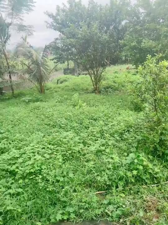 Đất nền Cẩm Tú, Cẩm Thủy 294m² giá 400 triệu - Bán gấp kèm nhà mới xây!