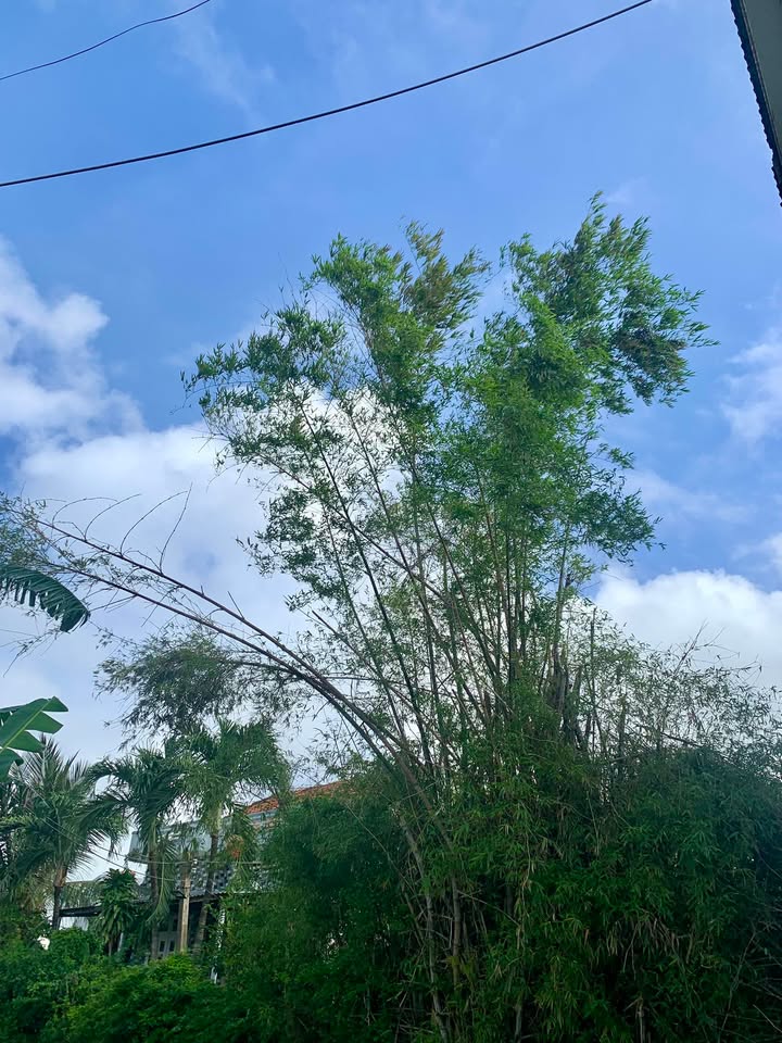 Nhà đẹp 119m² tại Đông Phước, Tuy Hòa - Giá 1.75 tỷ thương lượng