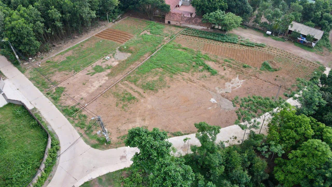 Lô Đất Vật Lại Ba Vì 1319m² giá 3 tỷ - Đầu tư sinh lời ngay!