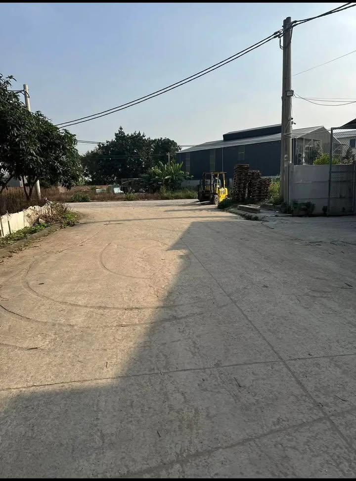 Đất đấu giá KĐT Đình Tổ, Thuận Thành 81m² giá 2.835 tỷ - Đầu tư bền vững!