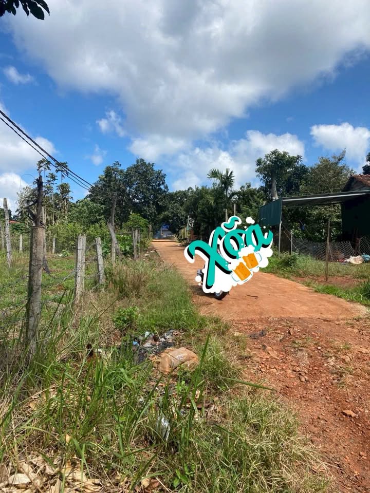 Đất thổ cư 516m² tại phường Ea Ral, Ea H'leo - Giá chỉ 5.37 tỷ VND, bớt lộc mạnh tay!