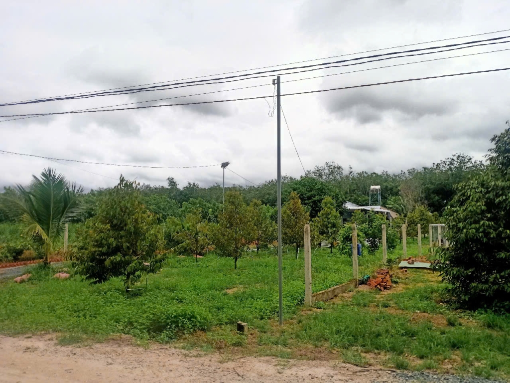 Đất vườn trái cây 1000m² tại Dầu Tiếng - Sổ hồng riêng, chỉ 300 triệu!