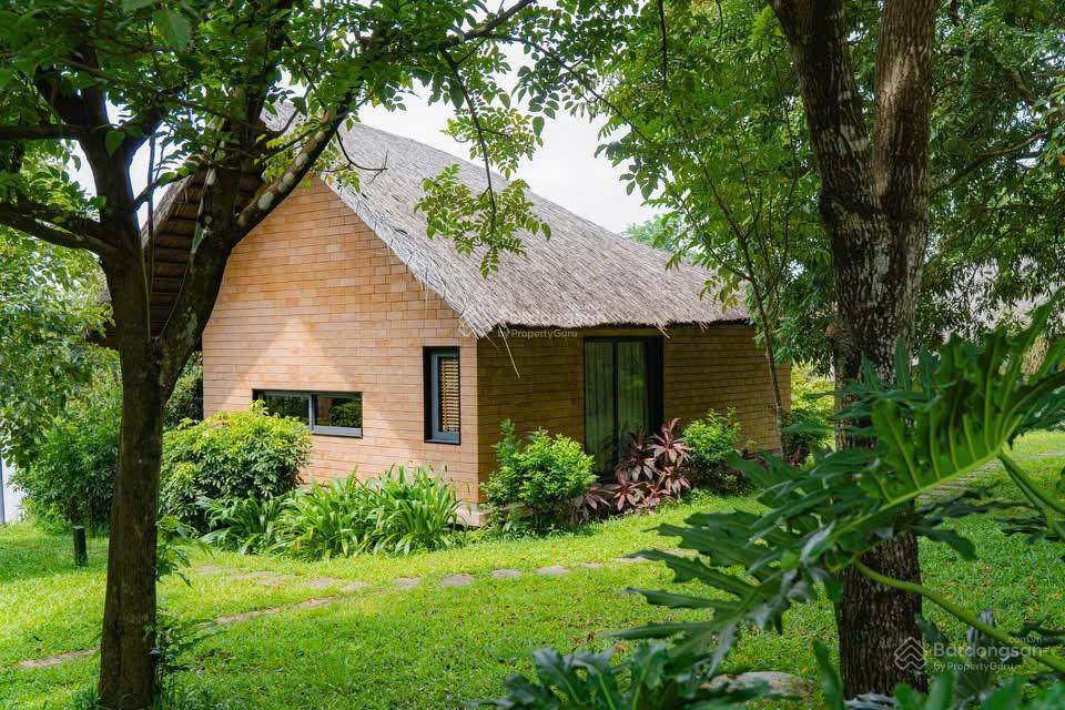 Đất trung tâm Hòa Lạc 260m² giá chỉ 3.9 tỷ - Cơ hội đầu tư tuyệt vời!