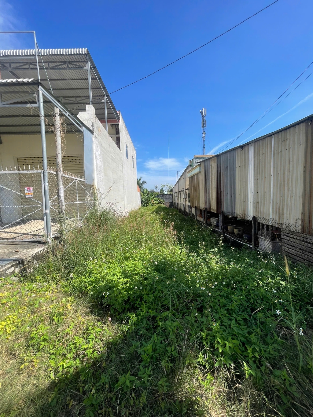 Đất mặt tiền đường 12m Tân Thông Hội 173m² giá chỉ 1.65 tỷ - Đầu tư tuyệt vời!