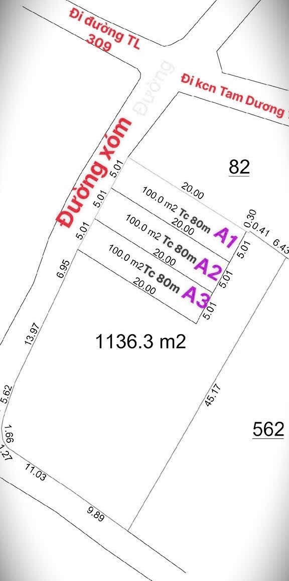 Đất nền Hướng Đạo – Tam Dương 100m² giá 780 triệu - Đầu tư sinh lời ngay!