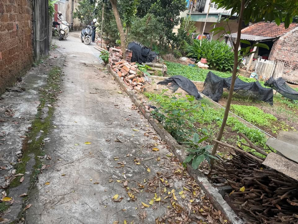 Đất Tích Giang 90m² giá 2.07 tỷ - Đầu tư sinh lời bền vững!