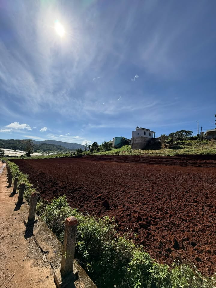 Đất nền Quảng Lập Đơn Dương 200m² giá 320 triệu - Sổ đỏ chính chủ, xây dựng ngay!