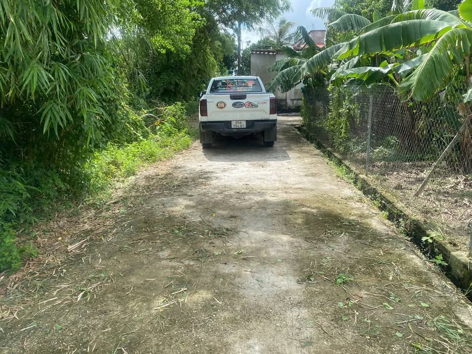 Đất nền Thuần Thành Thái Thụy 156m² giá 500 triệu - Cơ hội đầu tư hấp dẫn!