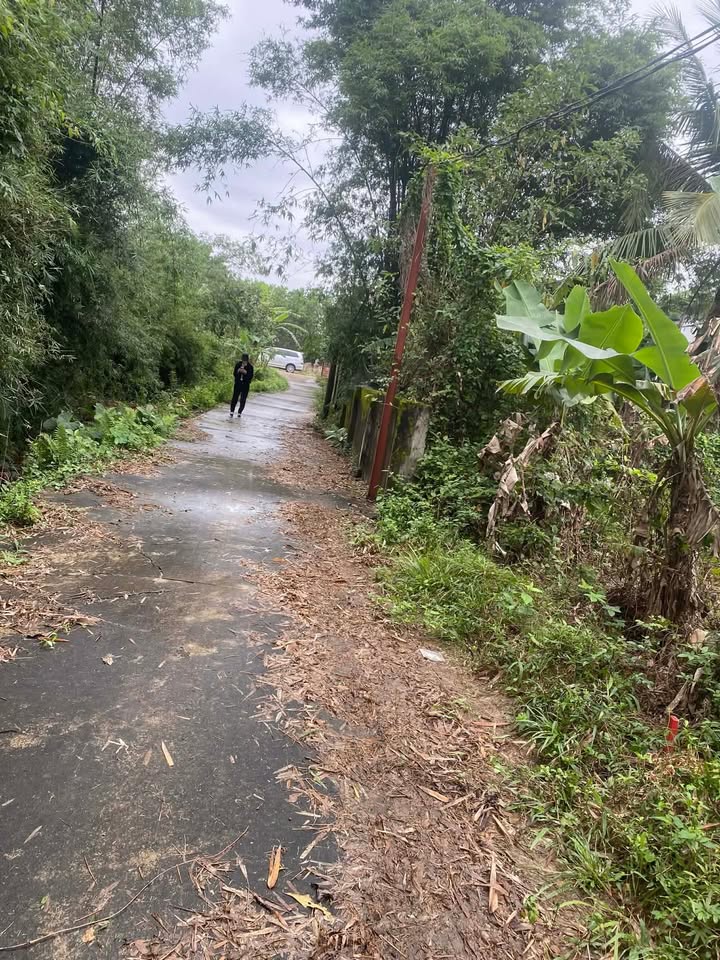 Đất nền Đồng Sơn, Đồng Hới, Quảng Bình 132m² chỉ 300 triệu - Cơ hội đầu tư hấp dẫn!