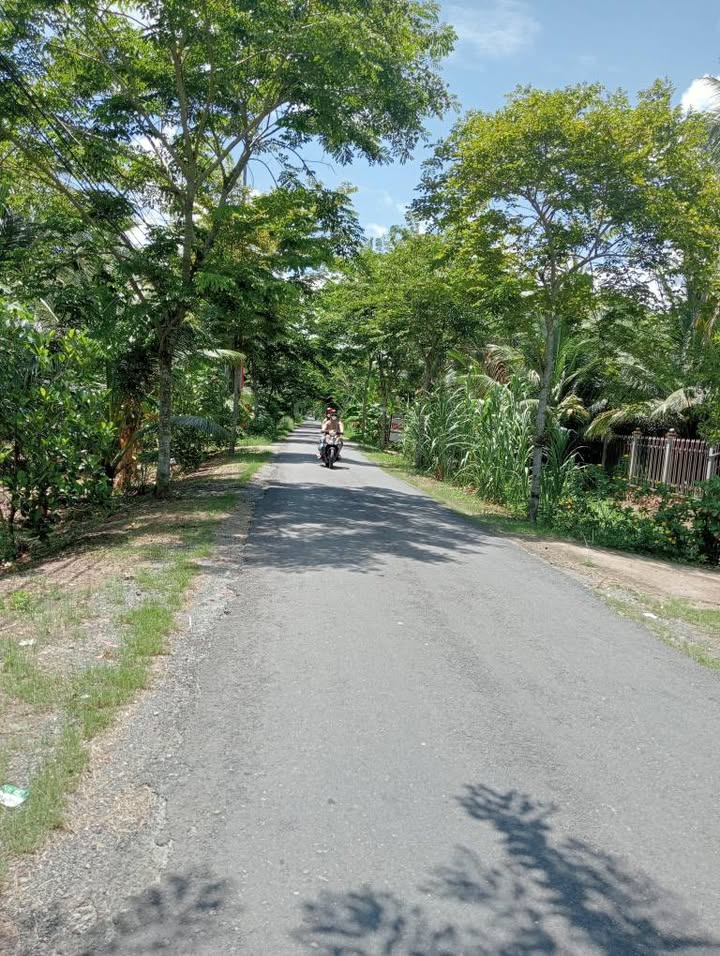 Đất nền mặt tiền đường nhựa lớn tại xã Thành An, Mỏ Cày Bắc, 142.8m² - Giá tốt 1.2 tỷ!