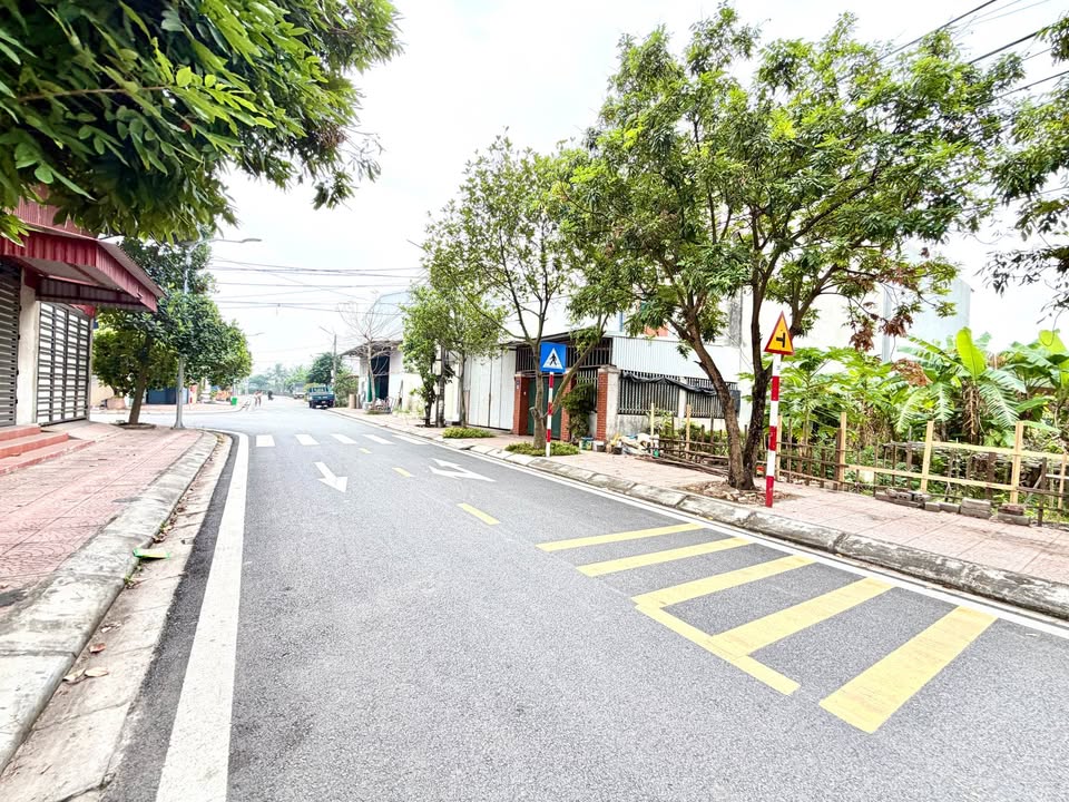 Đất nền biệt thự Lương Quán, Nam Sơn, An Dương 195m² - Vị trí đẹp, đầu tư sinh lời!